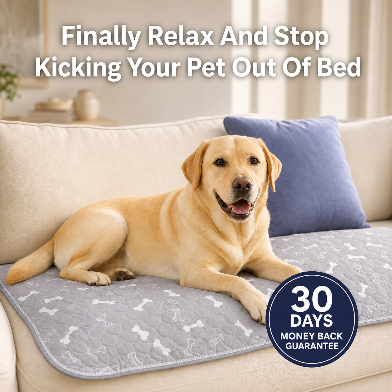 WoofyUniverse Pup Pad