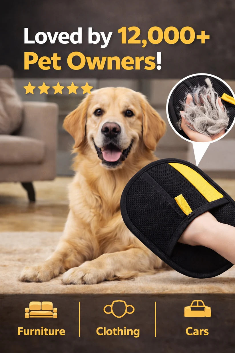 WoofyUniverse Hair Removal Glove