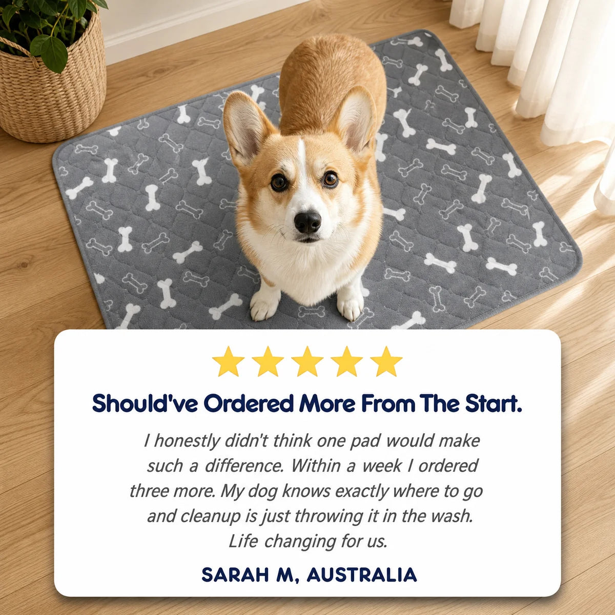 WoofyUniverse Pup Pad
